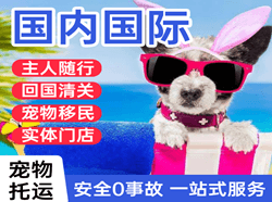 和田昆冈机场物流国际宠物托运 【国